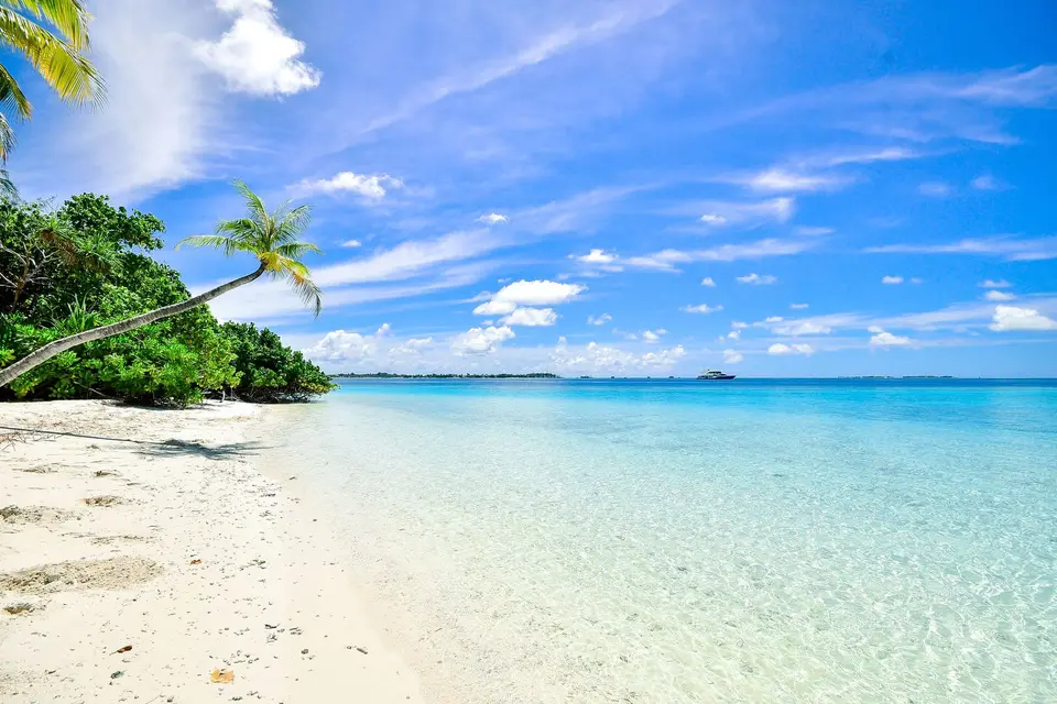 Praia tropical com palmeiras e água turquesa